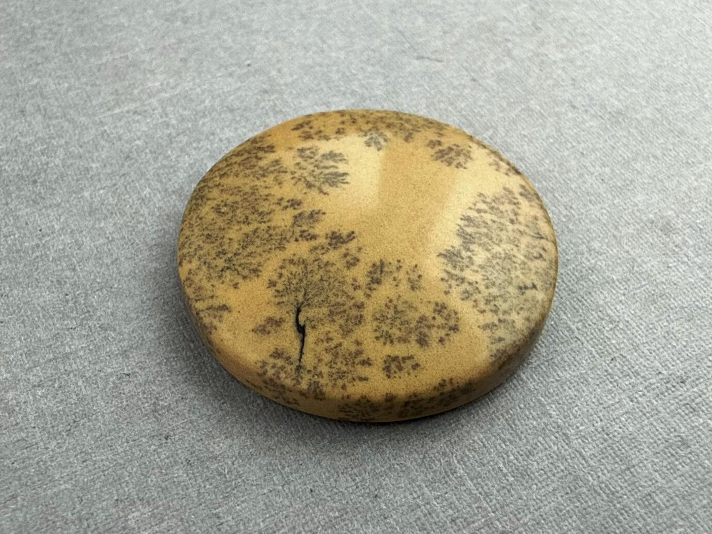 Deschutes Oregon Jasper Cabochon | Mined in the USA | JS334 - Gem Enthusiast