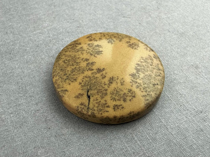 Deschutes Oregon Jasper Cabochon | Mined in the USA | JS334 - Gem Enthusiast