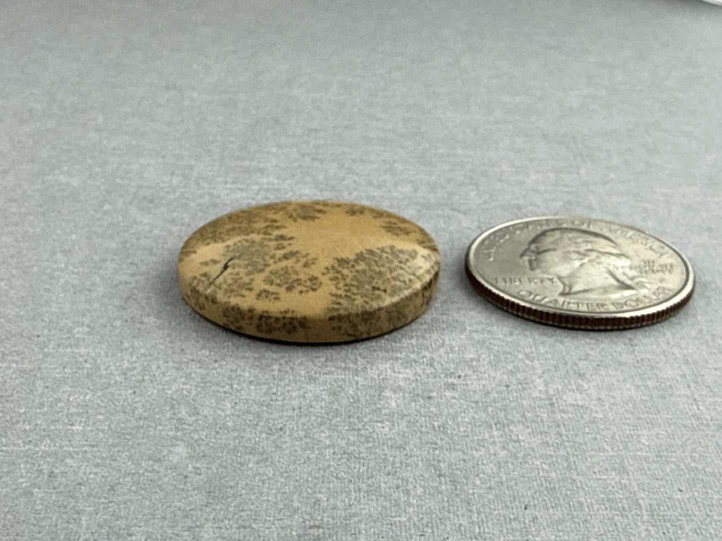 Deschutes Oregon Jasper Cabochon | Mined in the USA | JS334 - Gem Enthusiast