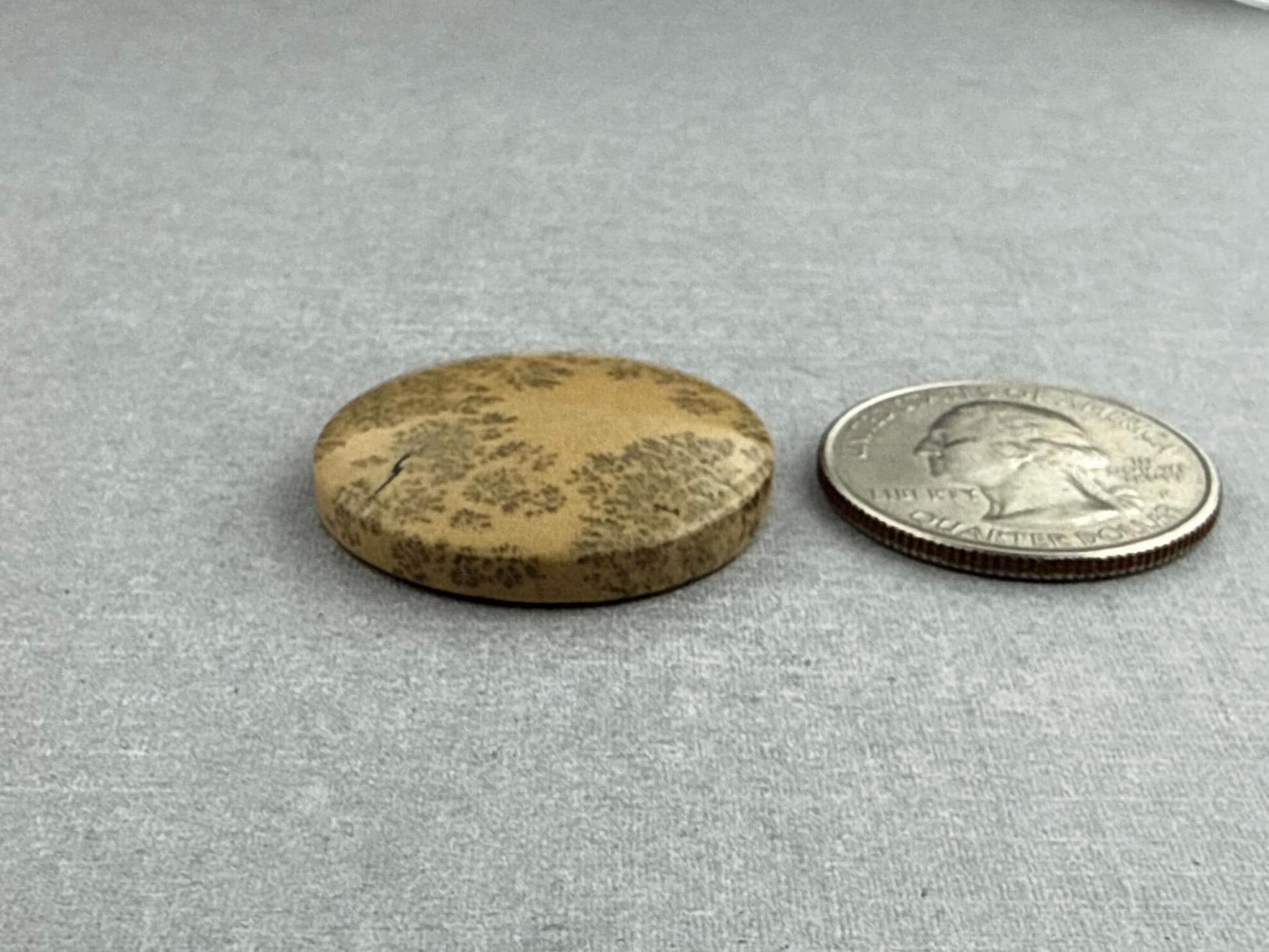 Deschutes Oregon Jasper Cabochon | Mined in the USA | JS334 - Gem Enthusiast