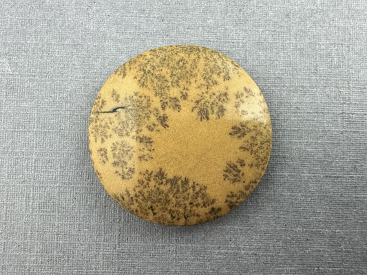 Deschutes Oregon Jasper Cabochon | Mined in the USA | JS334 - Gem Enthusiast