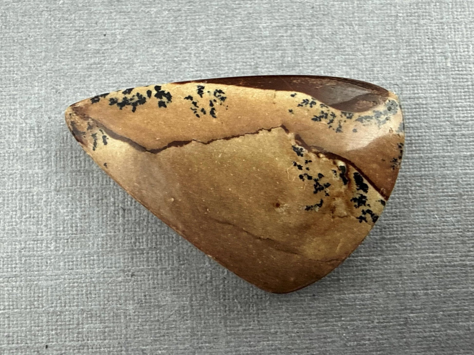 Deschutes Oregon Jasper Cabochon | Mined in the USA | JS336 - Gem Enthusiast