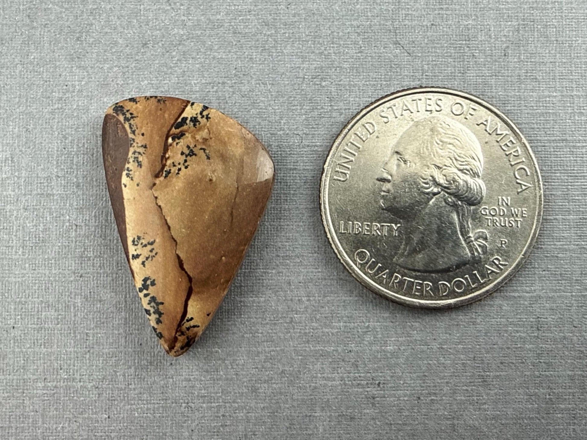 Deschutes Oregon Jasper Cabochon | Mined in the USA | JS336 - Gem Enthusiast