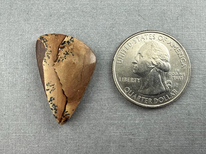 Deschutes Oregon Jasper Cabochon | Mined in the USA | JS336 - Gem Enthusiast