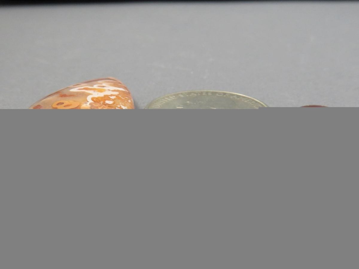 Designer Set | Oregon Sunstone, Crazy Lace Agate Cabochons | 2-Stone Lot | Oregon, USA and Indonesia | SET123 - Gem Enthusiast