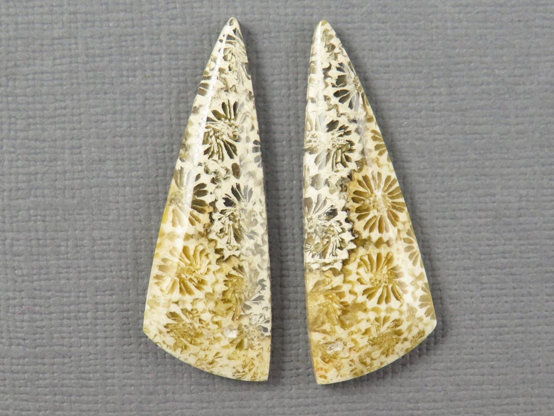 Fossilized Coral Cabochon | Agatized Coral | 34.5x12mm, 20.5ct | Indonesia | FC104 - Gem Enthusiast