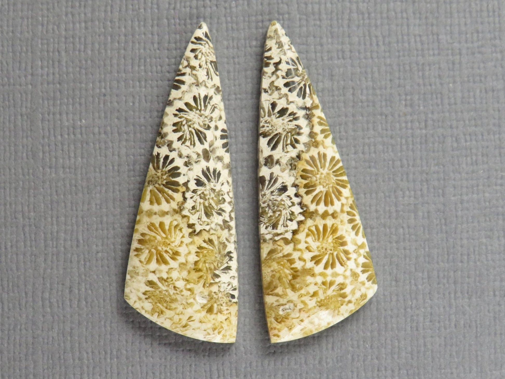 Fossilized Coral Cabochon | Agatized Coral | 34.5x12mm, 20.5ct | Indonesia | FC104 - Gem Enthusiast