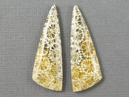 Fossilized Coral Cabochon | Agatized Coral | 34.5x12mm, 20.5ct | Indonesia | FC104 - Gem Enthusiast