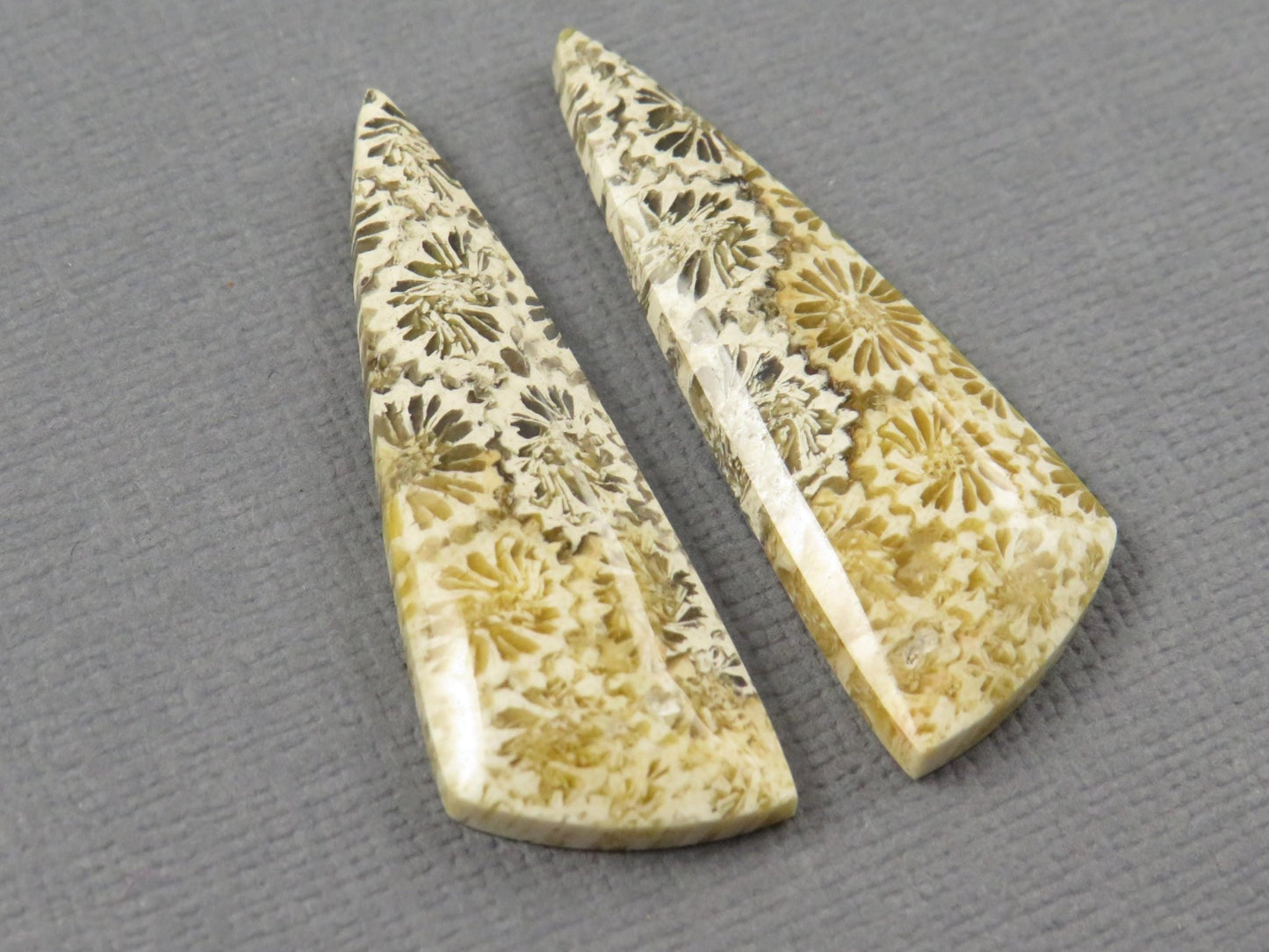 Fossilized Coral Cabochon | Agatized Coral | 34.5x12mm, 20.5ct | Indonesia | FC104 - Gem Enthusiast