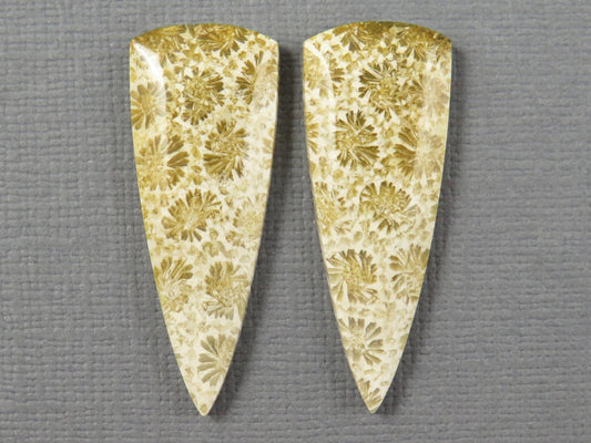 Fossilized Coral Cabochon | Agatized Coral | 34x13mm, 22.5ct | Per Pair | Indonesia | FC103 - Gem Enthusiast