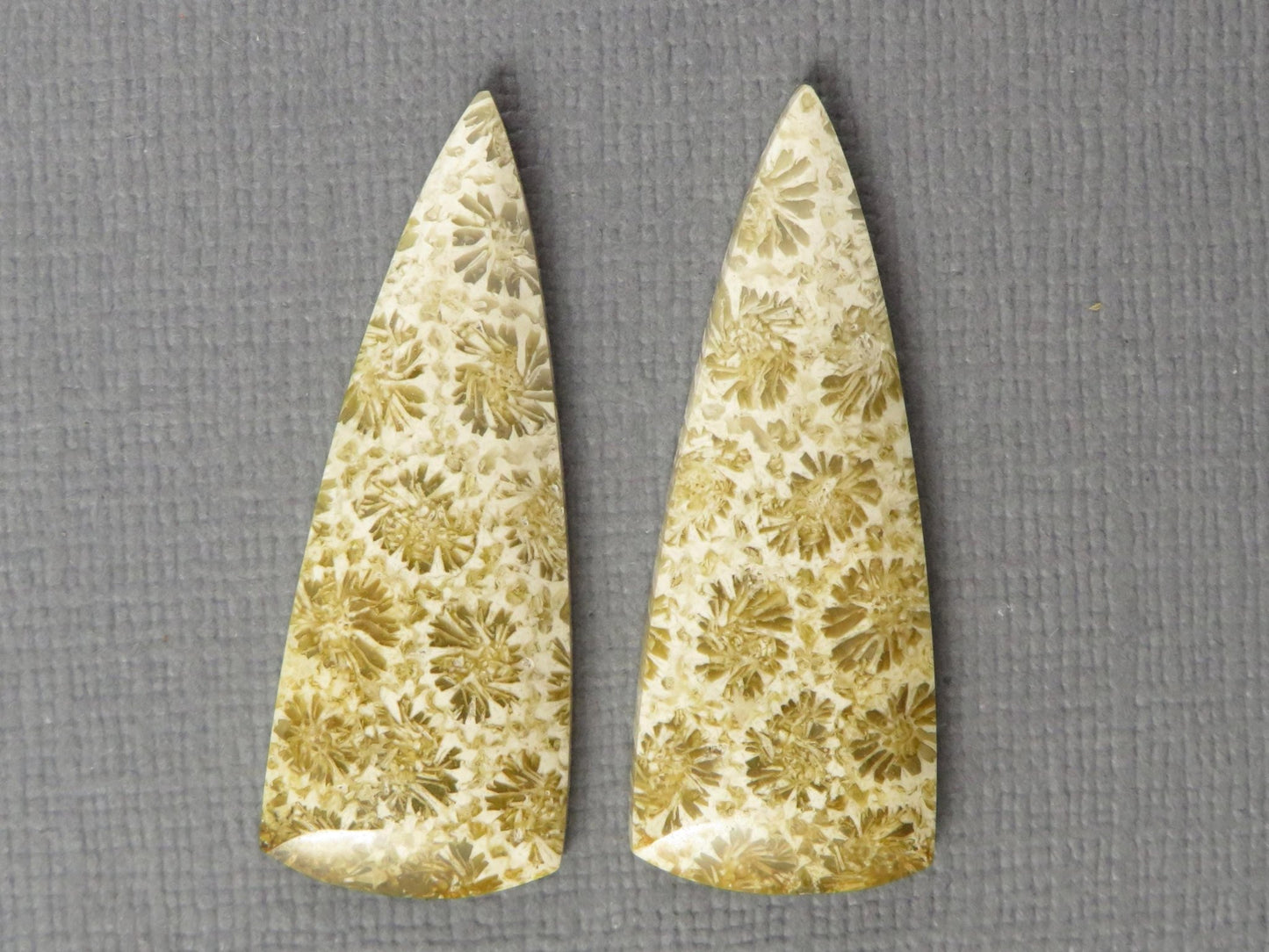 Fossilized Coral Cabochon | Agatized Coral | 34x13mm, 22.5ct | Per Pair | Indonesia | FC103 - Gem Enthusiast