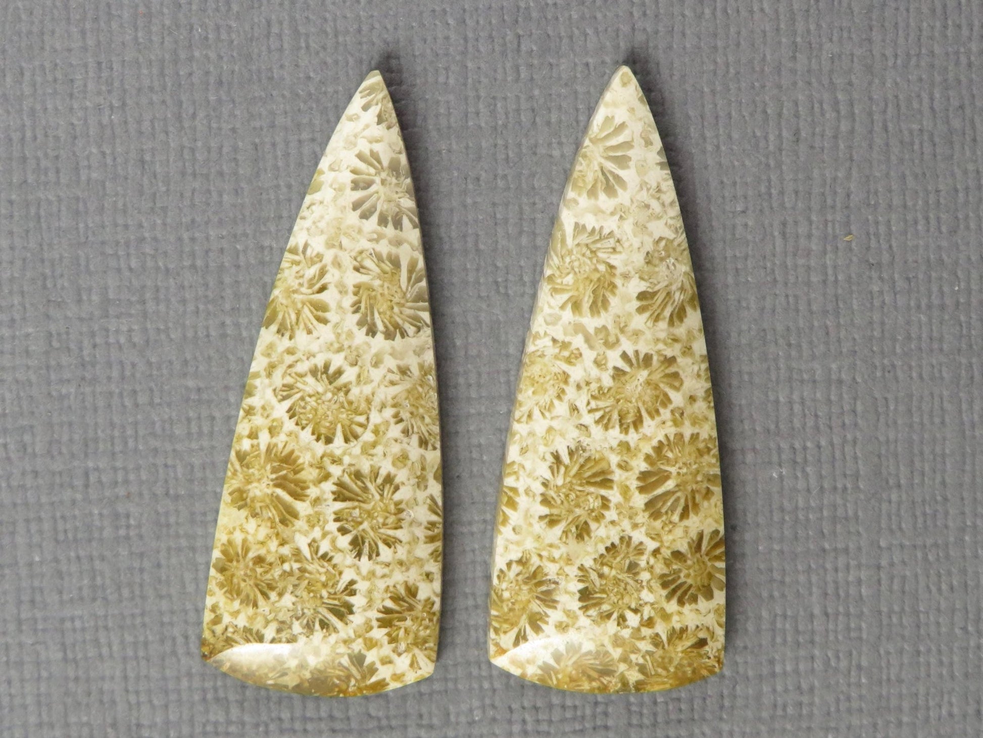 Fossilized Coral Cabochon | Agatized Coral | 34x13mm, 22.5ct | Per Pair | Indonesia | FC103 - Gem Enthusiast