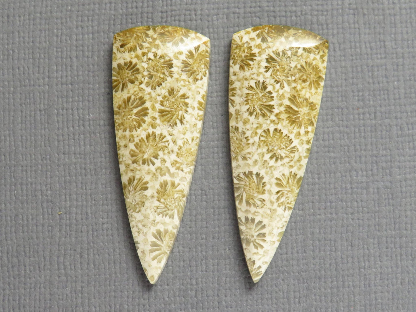 Fossilized Coral Cabochon | Agatized Coral | 34x13mm, 22.5ct | Per Pair | Indonesia | FC103 - Gem Enthusiast