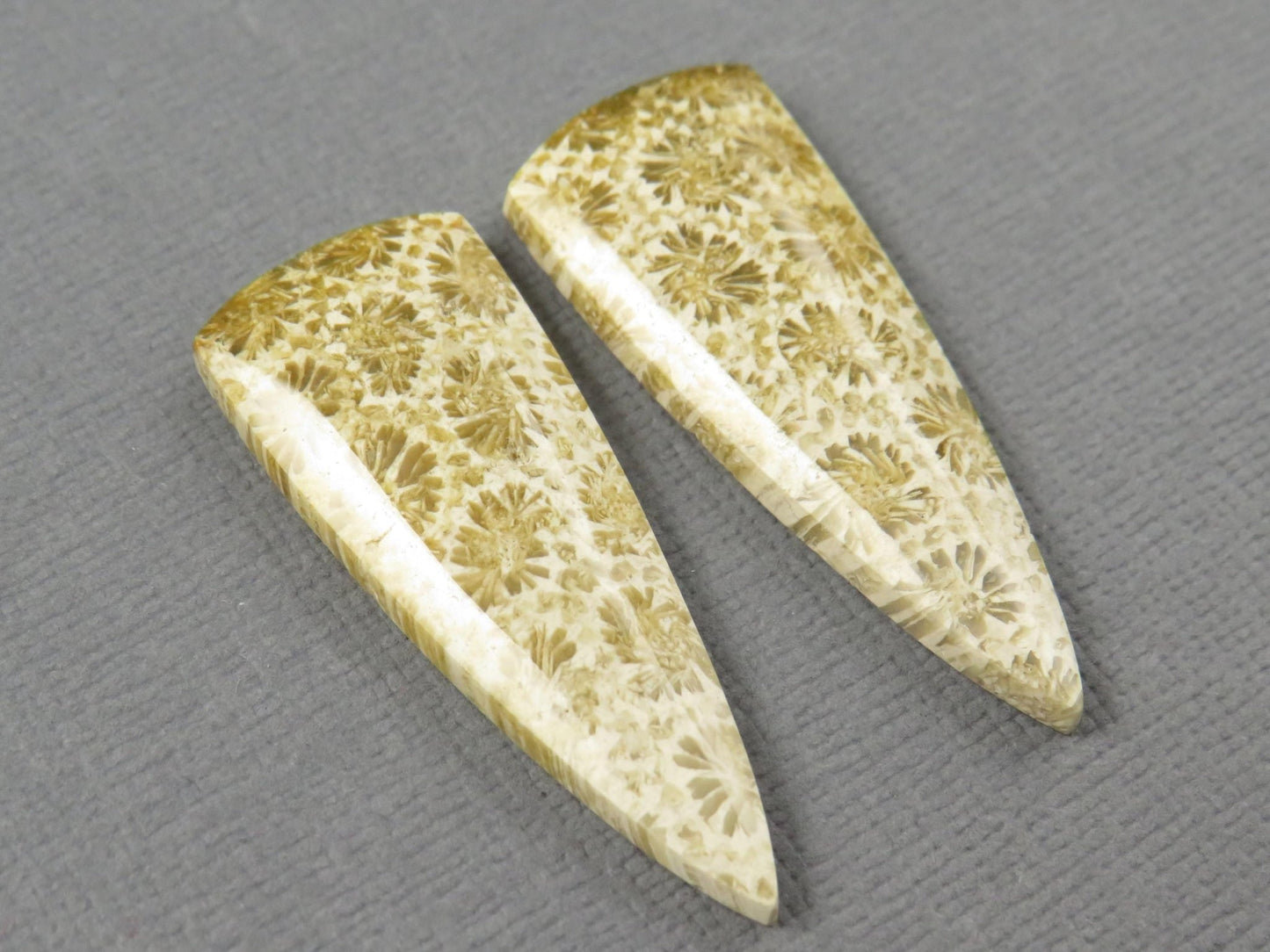Fossilized Coral Cabochon | Agatized Coral | 34x13mm, 22.5ct | Per Pair | Indonesia | FC103 - Gem Enthusiast