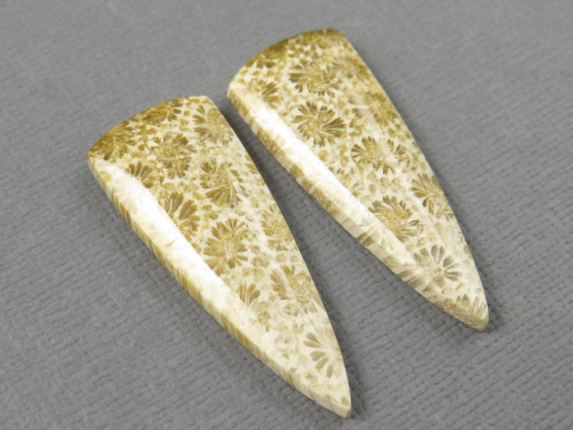Fossilized Coral Cabochon | Agatized Coral | 34x13mm, 22.5ct | Per Pair | Indonesia | FC103 - Gem Enthusiast