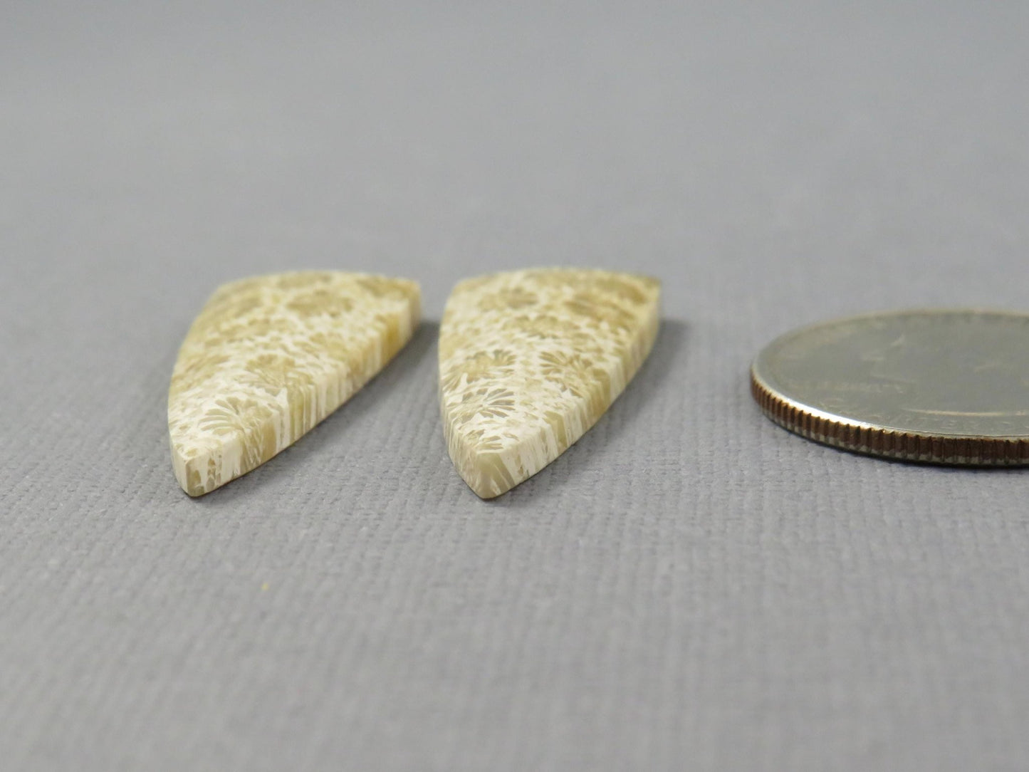 Fossilized Coral Cabochon | Agatized Coral | 34x13mm, 22.5ct | Per Pair | Indonesia | FC103 - Gem Enthusiast