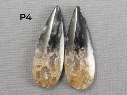 Fossilized Palm Root Cabochon | Opalized Wood | Per Pair | Indonesia | PRA100 - Gem Enthusiast