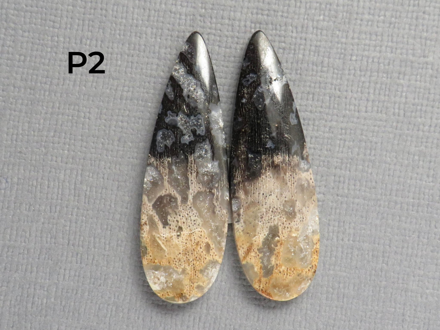 Fossilized Palm Root Cabochon | Opalized Wood | Per Pair | Indonesia | PRA100 - Gem Enthusiast