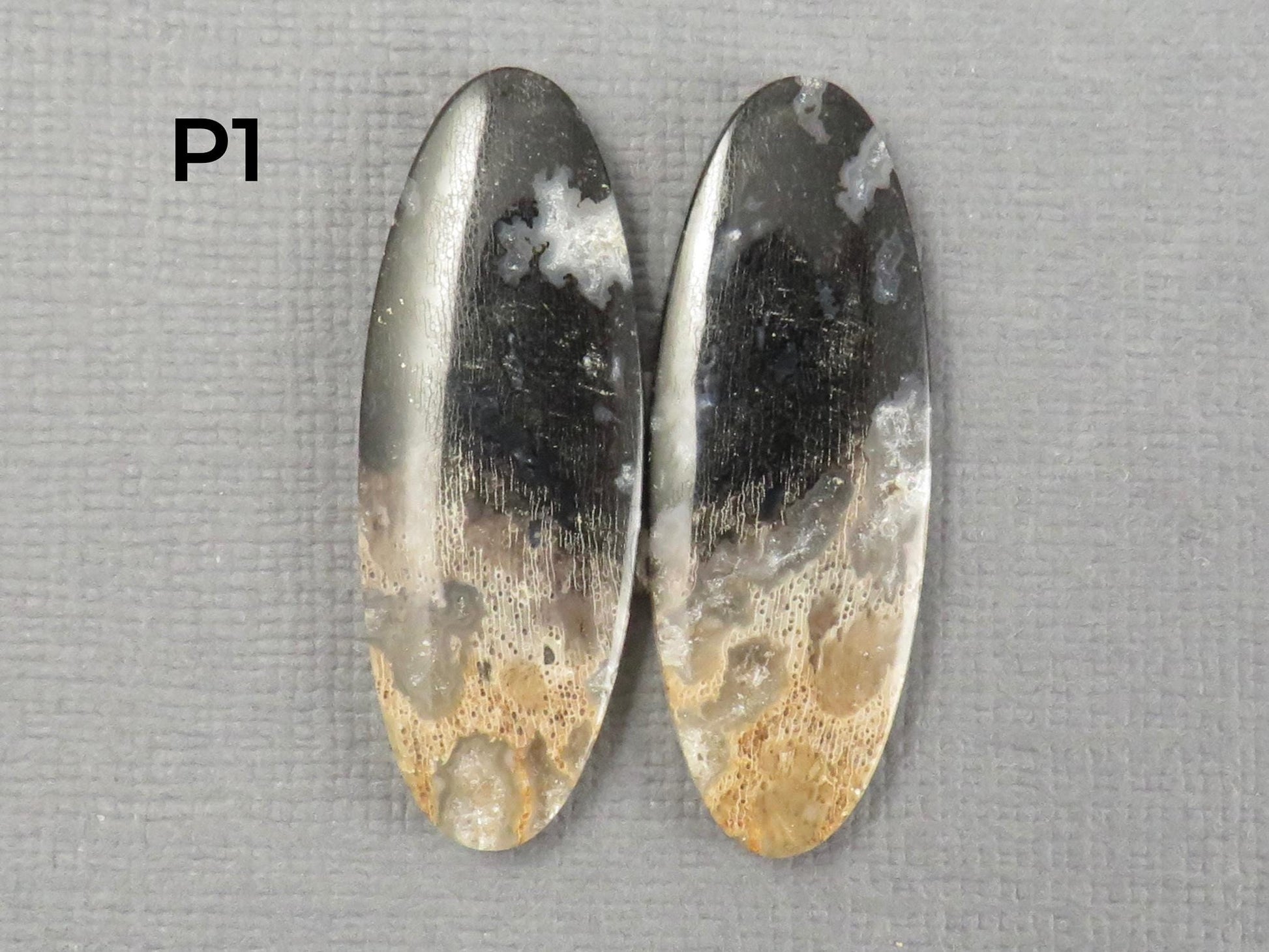 Fossilized Palm Root Cabochon | Opalized Wood | Per Pair | Indonesia | PRA100 - Gem Enthusiast