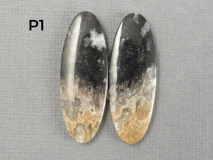 Fossilized Palm Root Cabochon | Opalized Wood | Per Pair | Indonesia | PRA100 - Gem Enthusiast