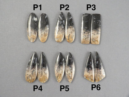 Fossilized Palm Root Cabochon | Opalized Wood | Per Pair | Indonesia | PRA100 - Gem Enthusiast