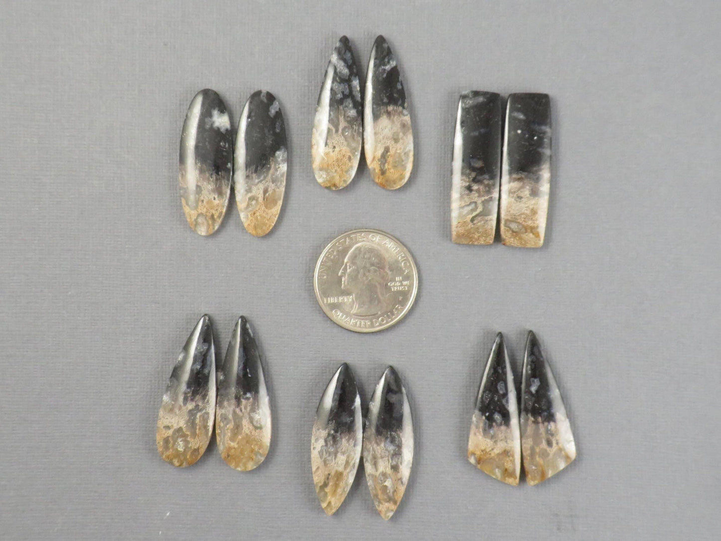 Fossilized Palm Root Cabochon | Opalized Wood | Per Pair | Indonesia | PRA100 - Gem Enthusiast