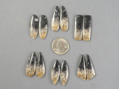 Fossilized Palm Root Cabochon | Opalized Wood | Per Pair | Indonesia | PRA100 - Gem Enthusiast