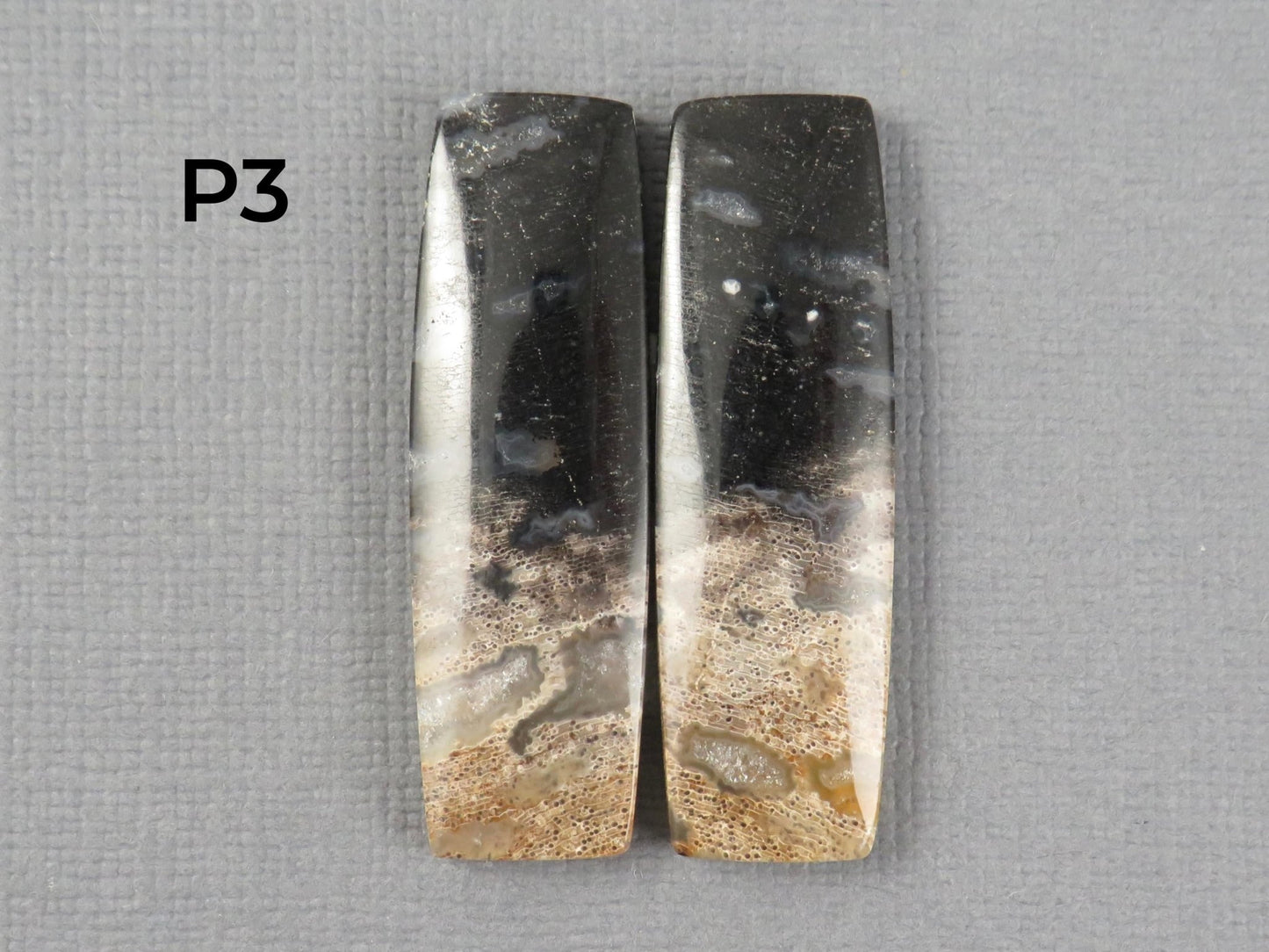 Fossilized Palm Root Cabochon | Opalized Wood | Per Pair | Indonesia | PRA100 - Gem Enthusiast