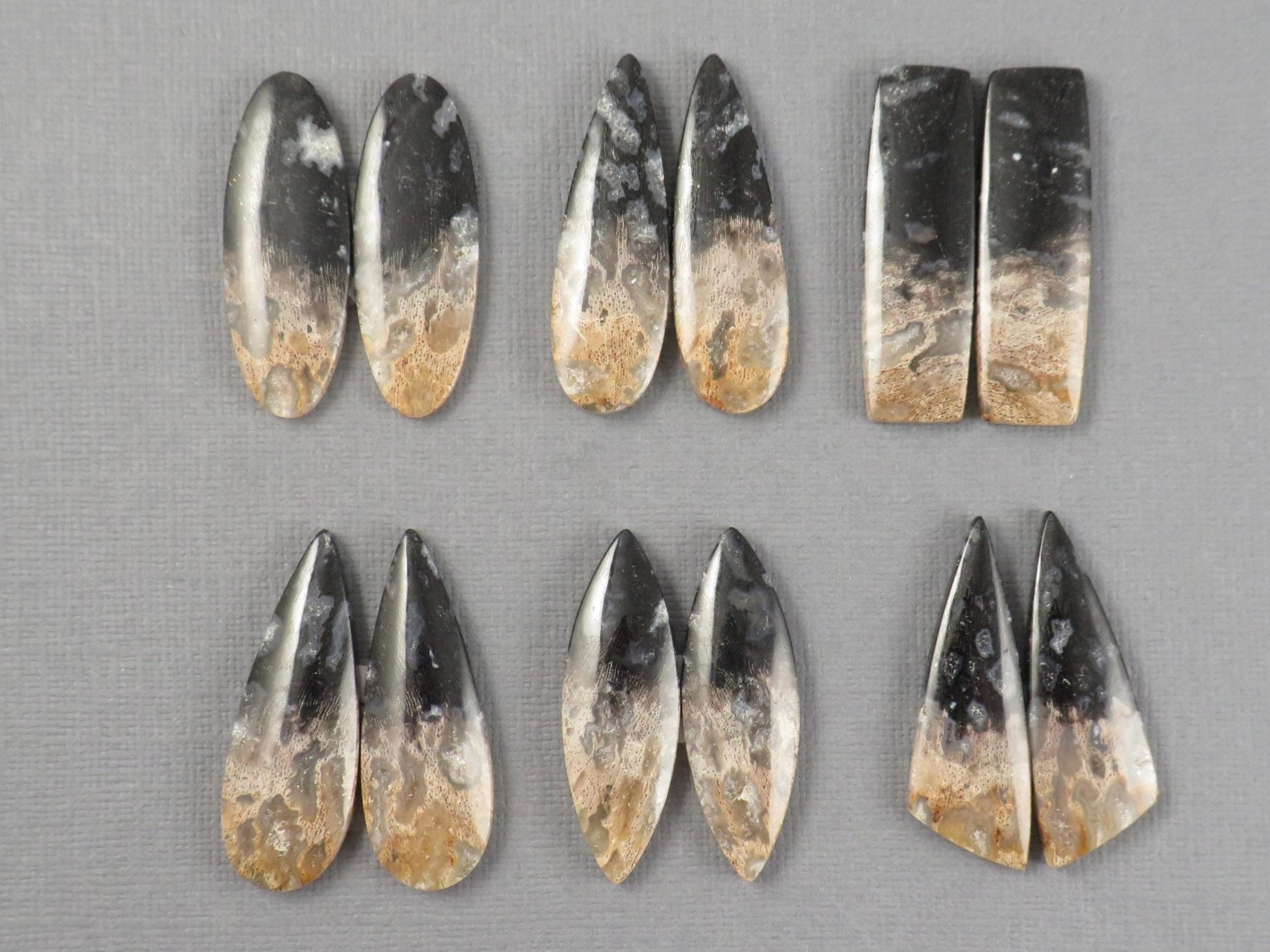 Fossilized Palm Root Cabochon | Opalized Wood | Per Pair | Indonesia | PRA100 - Gem Enthusiast