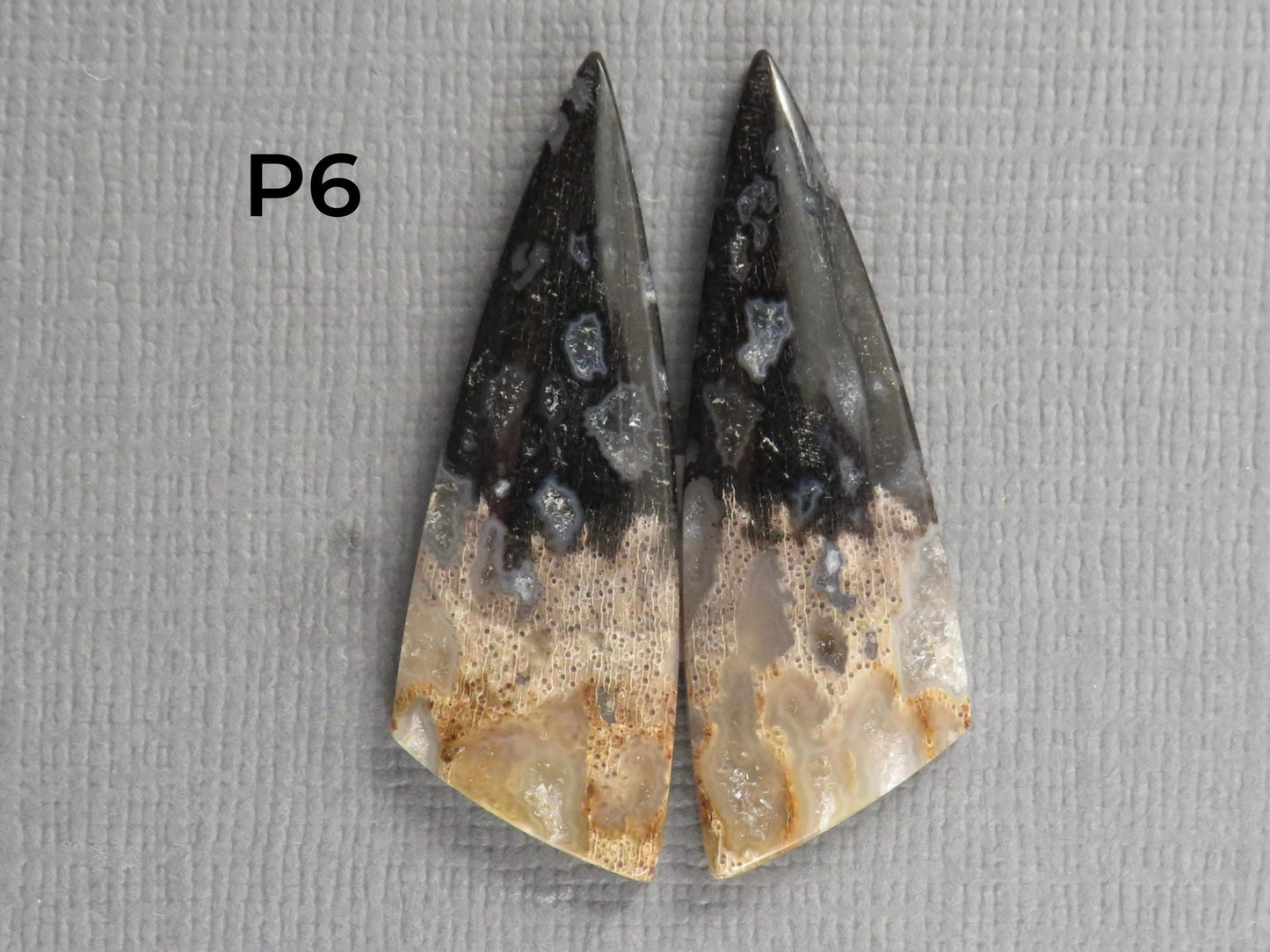 Fossilized Palm Root Cabochon | Opalized Wood | Per Pair | Indonesia | PRA100 - Gem Enthusiast