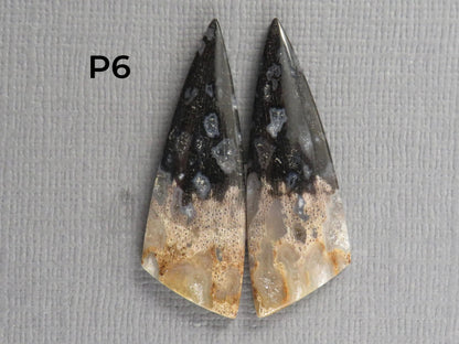 Fossilized Palm Root Cabochon | Opalized Wood | Per Pair | Indonesia | PRA100 - Gem Enthusiast