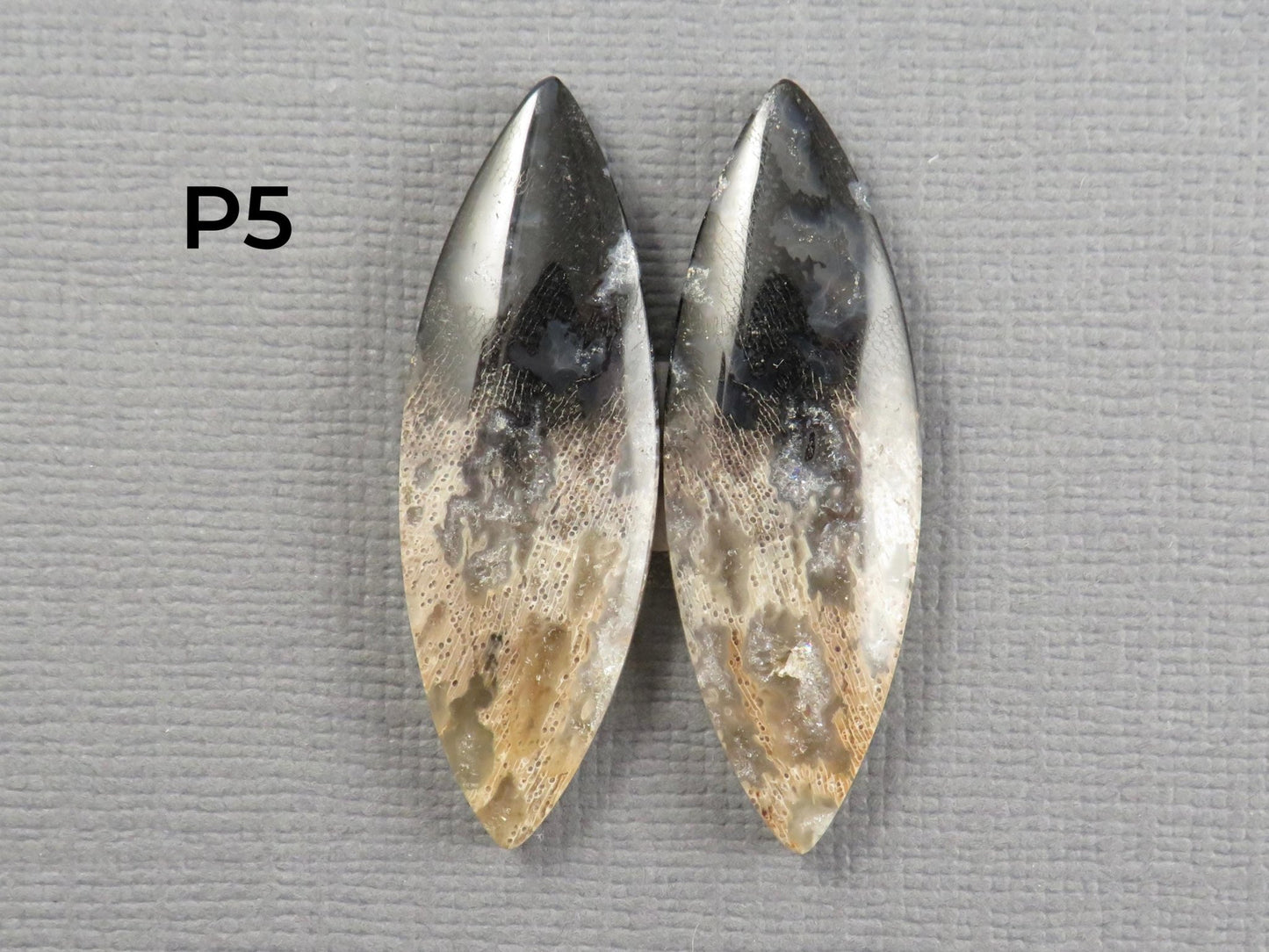 Fossilized Palm Root Cabochon | Opalized Wood | Per Pair | Indonesia | PRA100 - Gem Enthusiast