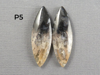 Fossilized Palm Root Cabochon | Opalized Wood | Per Pair | Indonesia | PRA100 - Gem Enthusiast