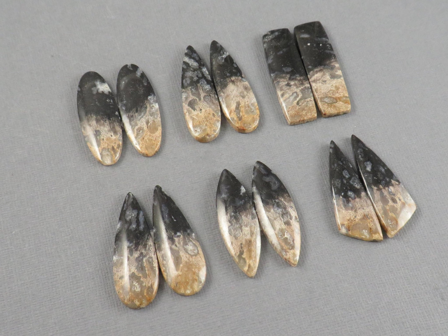 Fossilized Palm Root Cabochon | Opalized Wood | Per Pair | Indonesia | PRA100 - Gem Enthusiast