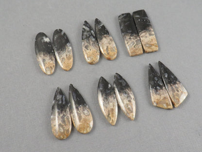 Fossilized Palm Root Cabochon | Opalized Wood | Per Pair | Indonesia | PRA100 - Gem Enthusiast