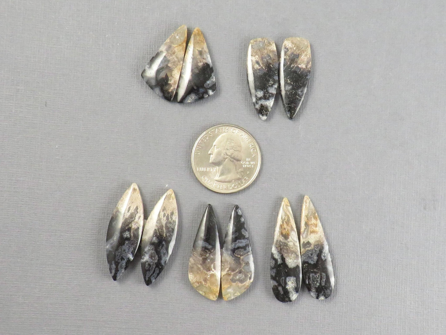Fossilized Palm Root Cabochon | Opalized Wood | Per Pair | Indonesia | PRA100 - Gem Enthusiast