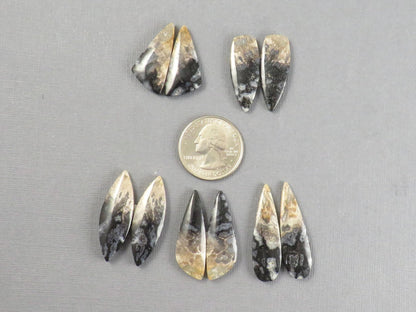 Fossilized Palm Root Cabochon | Opalized Wood | Per Pair | Indonesia | PRA100 - Gem Enthusiast