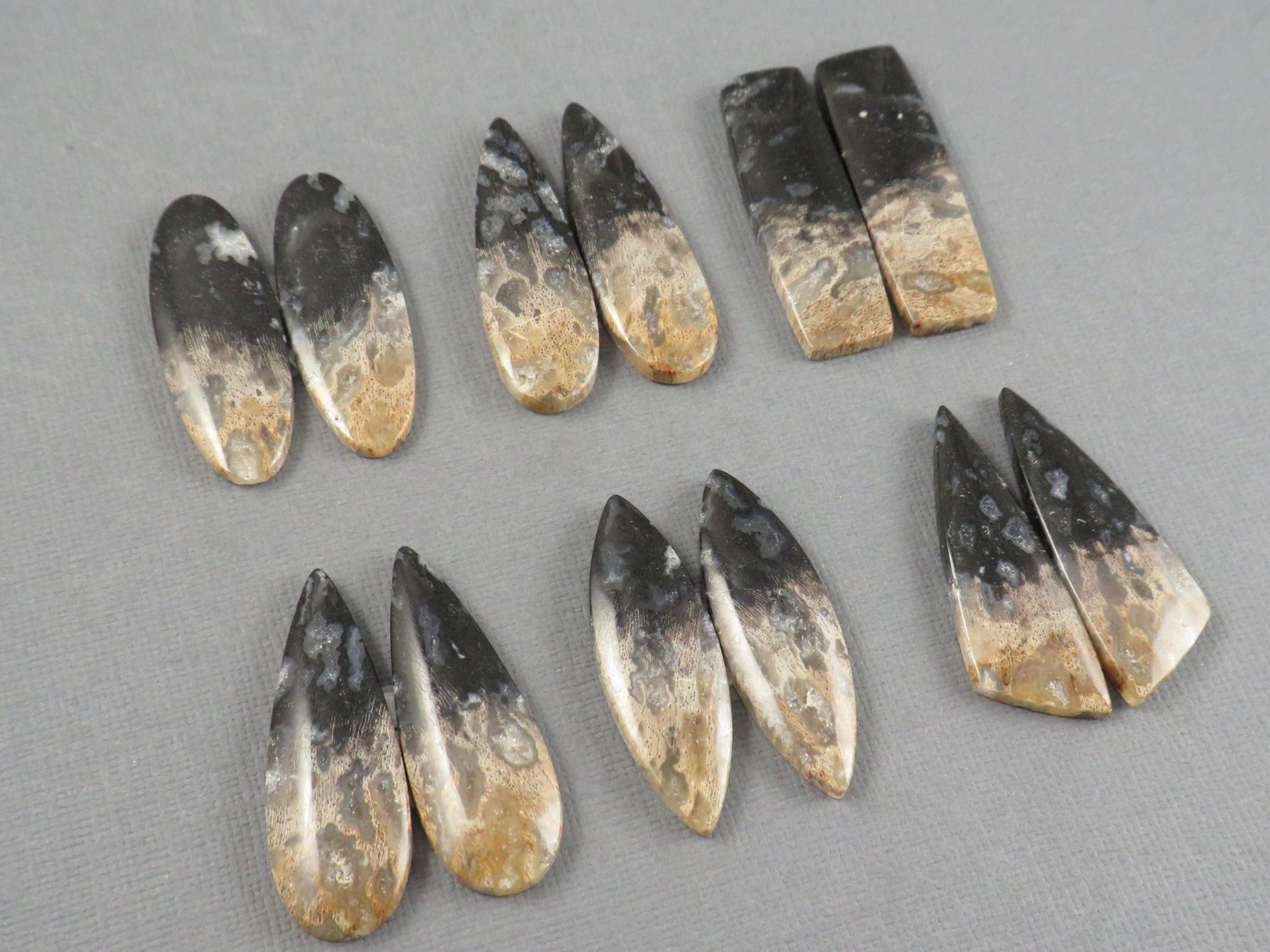 Fossilized Palm Root Cabochon | Opalized Wood | Per Pair | Indonesia | PRA100 - Gem Enthusiast