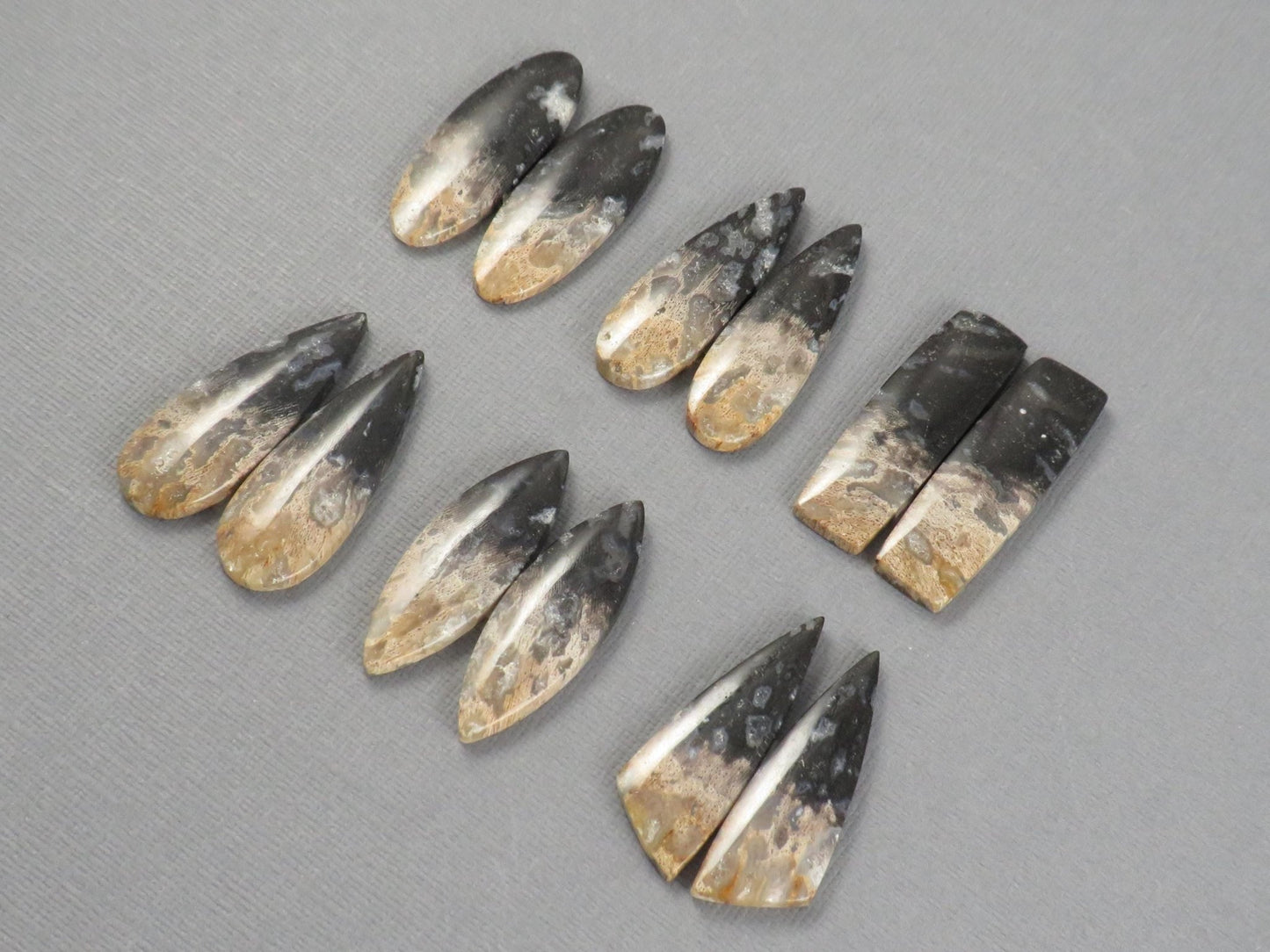 Fossilized Palm Root Cabochon | Opalized Wood | Per Pair | Indonesia | PRA100 - Gem Enthusiast