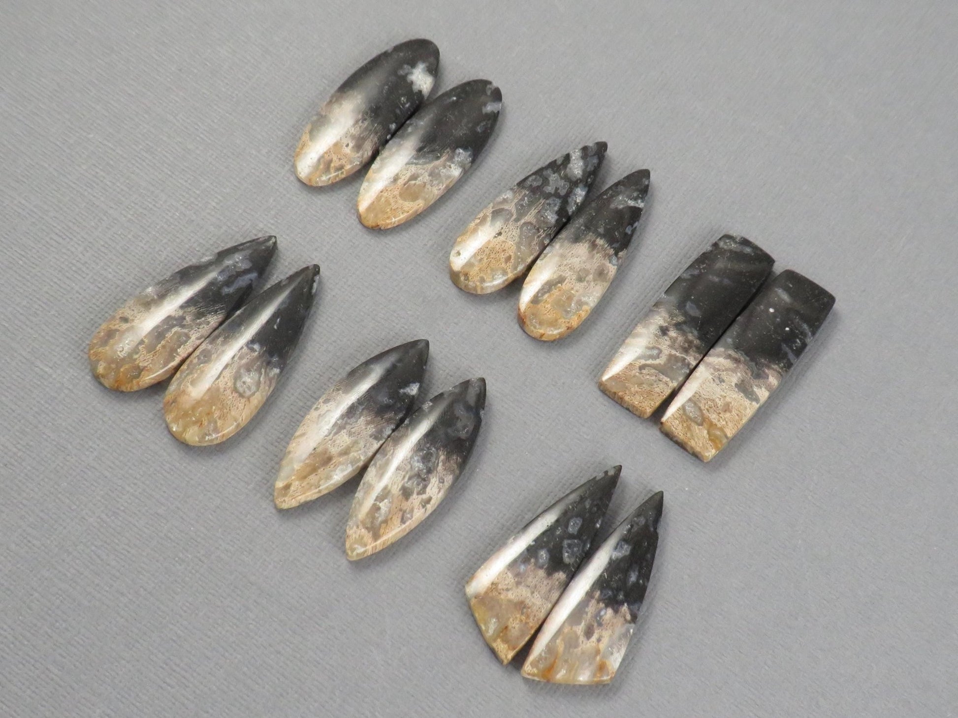 Fossilized Palm Root Cabochon | Opalized Wood | Per Pair | Indonesia | PRA100 - Gem Enthusiast
