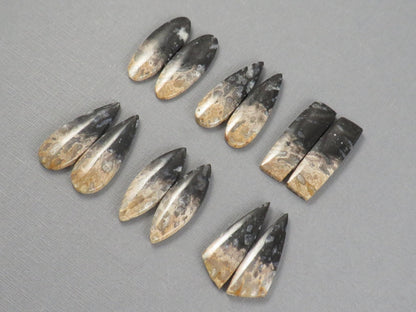 Fossilized Palm Root Cabochon | Opalized Wood | Per Pair | Indonesia | PRA100 - Gem Enthusiast