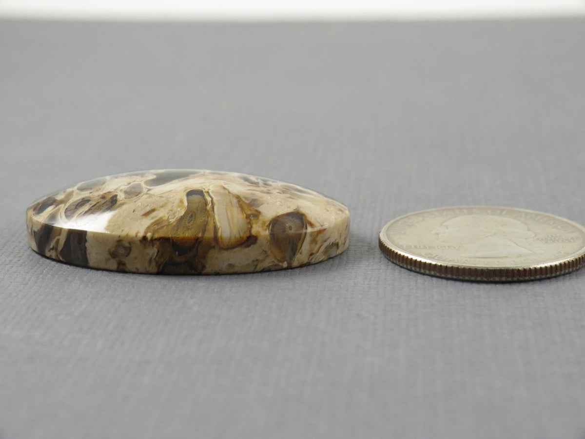 Fossilized Palm Root Cabochon Oval | Flame Pattern | 37x25mm, 62ct | Indonesia | PRF104 - Gem Enthusiast