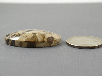 Fossilized Palm Root Cabochon Oval | Flame Pattern | 37x25mm, 62ct | Indonesia | PRF104 - Gem Enthusiast