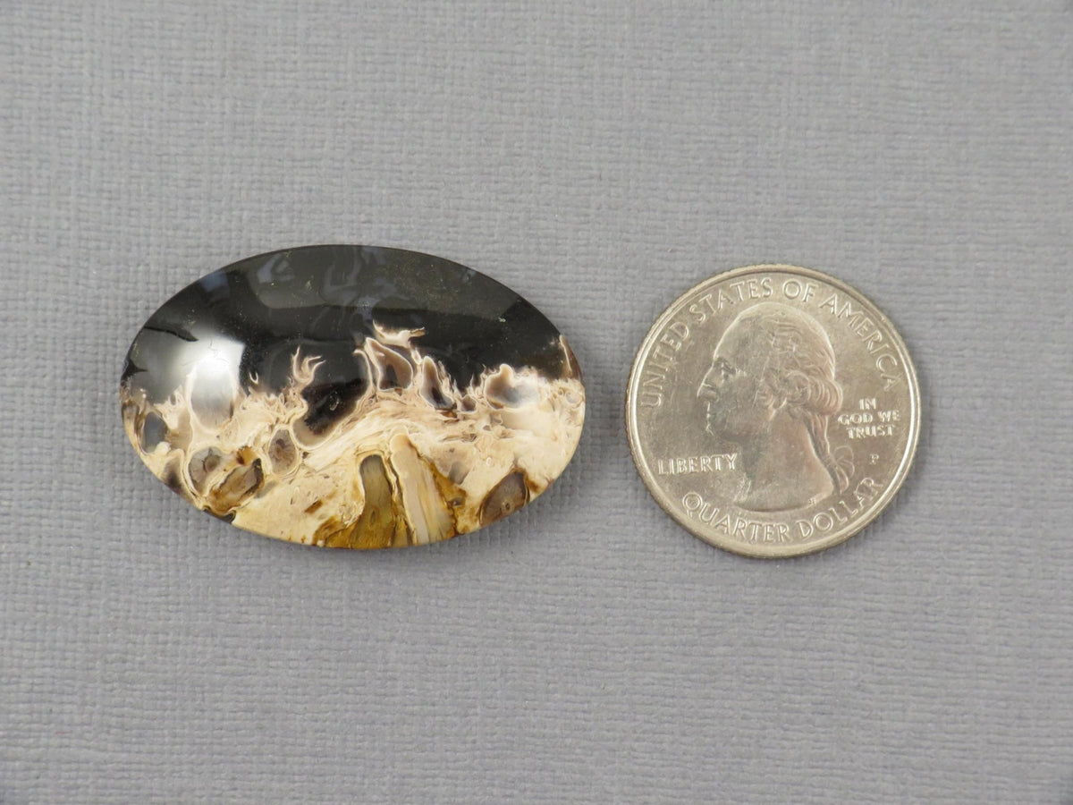 Fossilized Palm Root Cabochon Oval | Flame Pattern | 37x25mm, 62ct | Indonesia | PRF104 - Gem Enthusiast