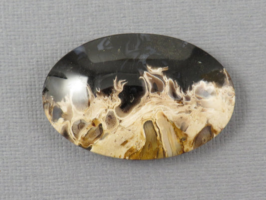 Fossilized Palm Root Cabochon Oval | Flame Pattern | 37x25mm, 62ct | Indonesia | PRF104 - Gem Enthusiast