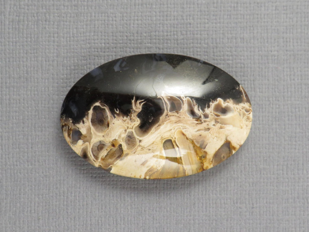 Fossilized Palm Root Cabochon Oval | Flame Pattern | 37x25mm, 62ct | Indonesia | PRF104 - Gem Enthusiast