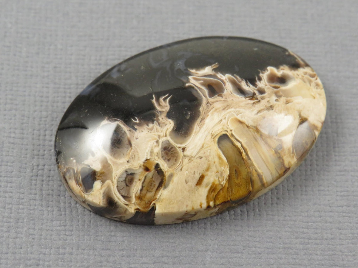 Fossilized Palm Root Cabochon Oval | Flame Pattern | 37x25mm, 62ct | Indonesia | PRF104 - Gem Enthusiast