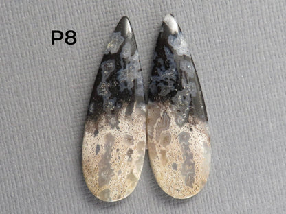 Fossilized Palm Root Cabochon Pairs | 33–39mm, avg 27.44ct | Per Pair | Indonesia | PRA103 - Gem Enthusiast