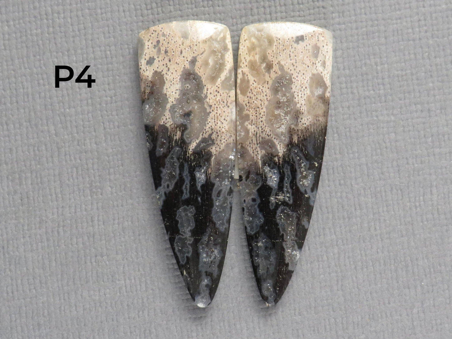 Fossilized Palm Root Cabochon Pairs | 33–39mm, avg 27.44ct | Per Pair | Indonesia | PRA103 - Gem Enthusiast