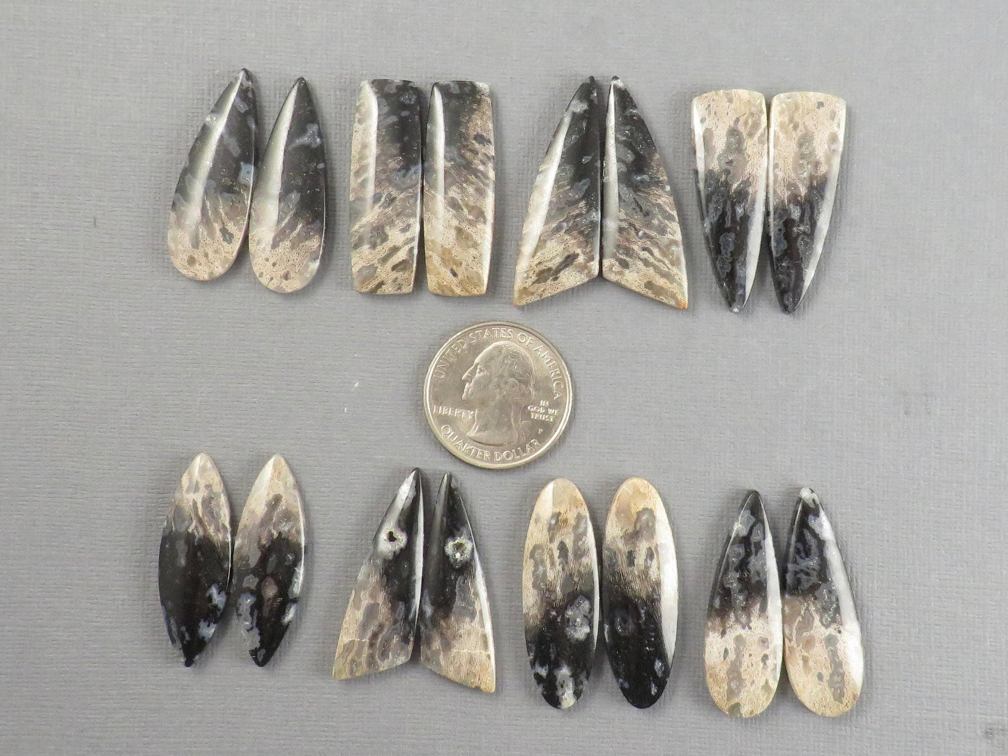 Fossilized Palm Root Cabochon Pairs | 33–39mm, avg 27.44ct | Per Pair | Indonesia | PRA103 - Gem Enthusiast